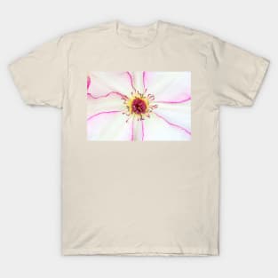 Closeup of pink flower with pink stamens T-Shirt